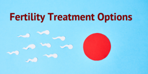 Fertility Treatment Options