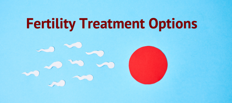 Fertility Treatment Options