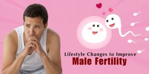 Male Fertility