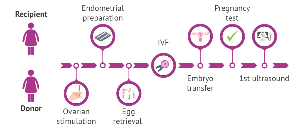 Understanding ART: Types of Assisted Reproductive Technologies