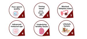 Reasons for IUI Failure