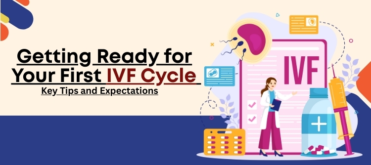 IVF Cycle