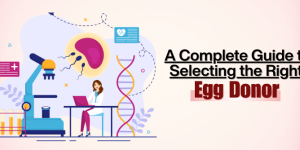 Egg Donation Process