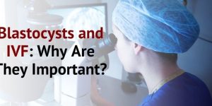 Blastocysts and IVF