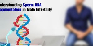 Sperm DNA Fragmentation: Causes, Testing & Treatment Explained