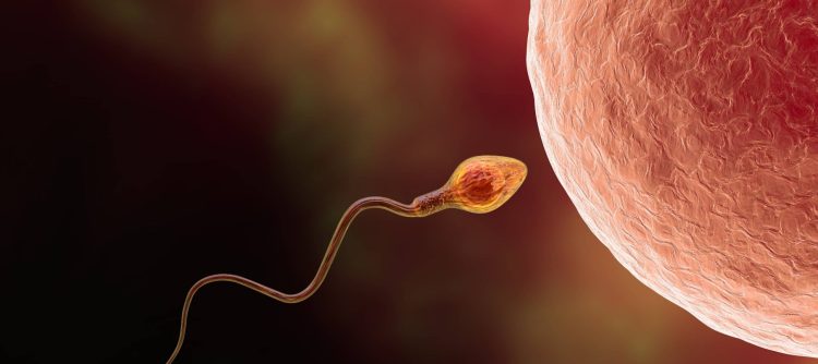 Infertility And Obesity